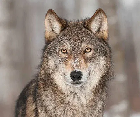 bookkeepingservices 4 Featured image