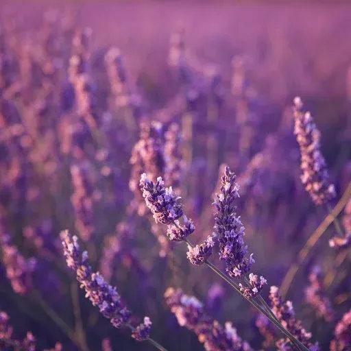 bookkeepingservices 3 Featured image