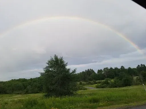 Bookkeeping Service Brunswick - Accounting Insights LLC 3 Featured image